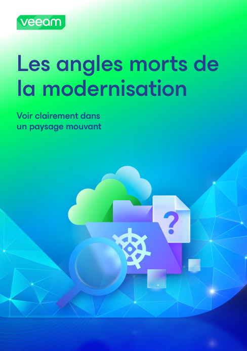 Les angles morts de la modernisation