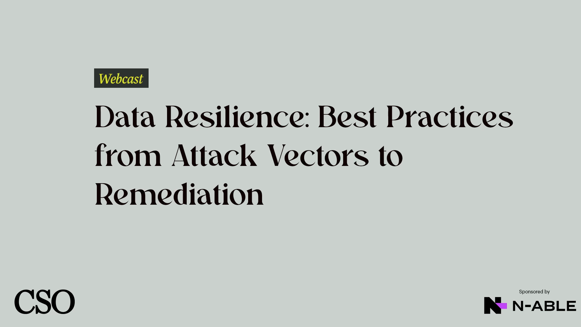 Data Resilience: Best Practices from Attack Vectors to Remediation